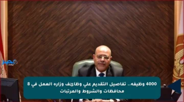 4000 وظيفة.. تفاصيل التقديم على وظائف وزارة العمل في 8 محافظات والشروط والمرتبات